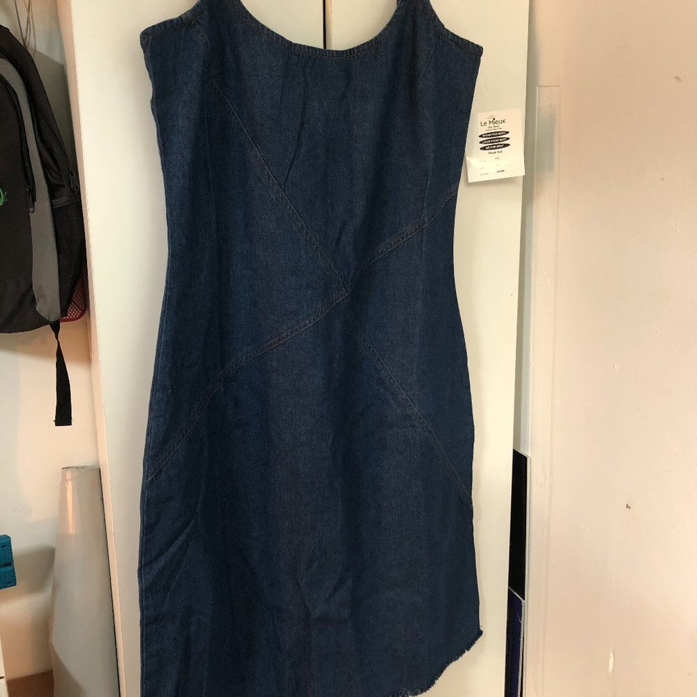 NWT Denim Dress